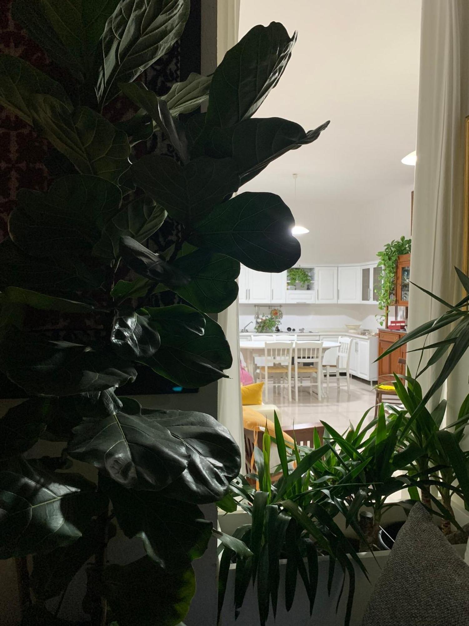 Dolianova Marco'S House 빌라 외부 사진