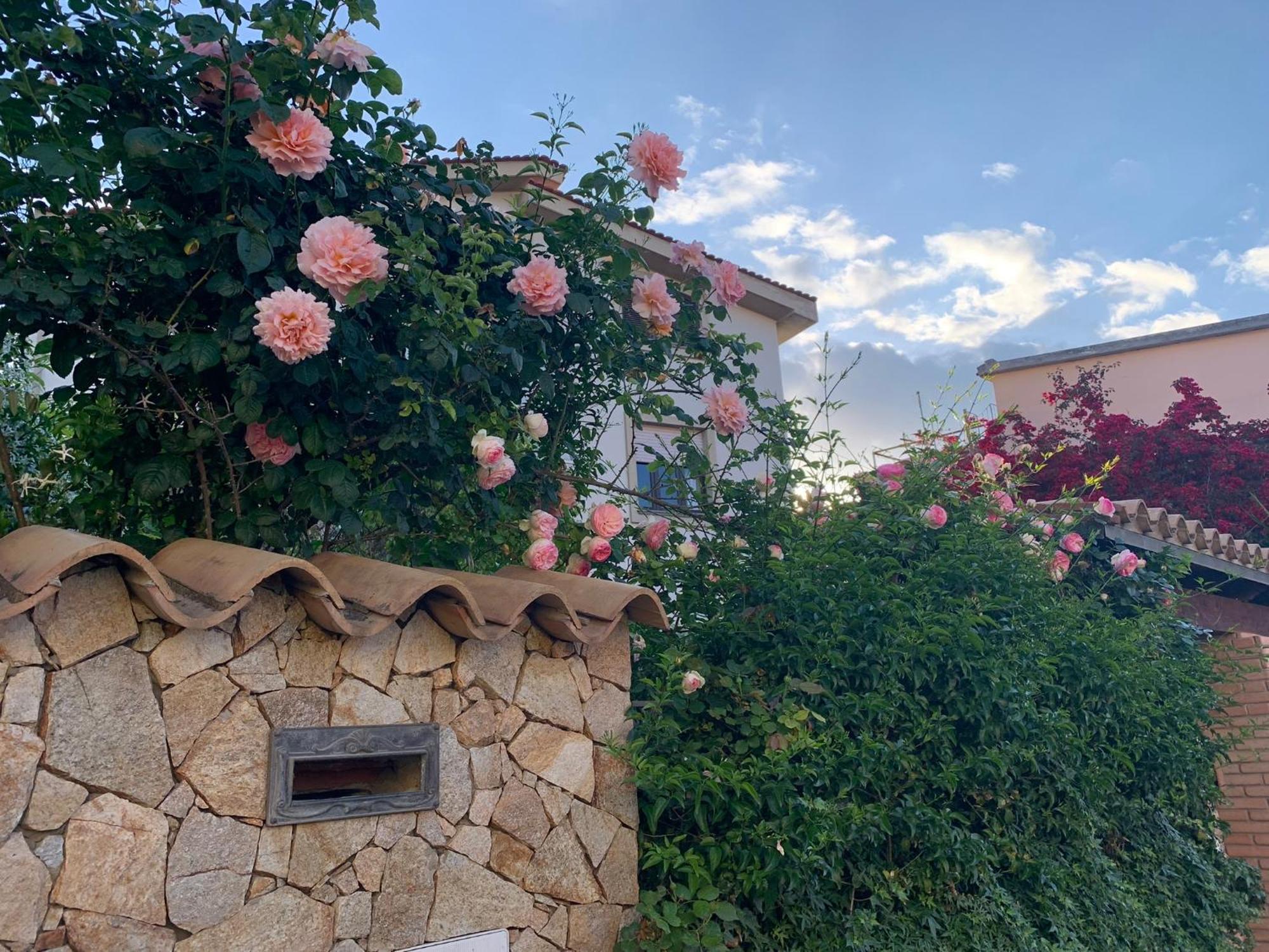 Dolianova Marco'S House 빌라 외부 사진