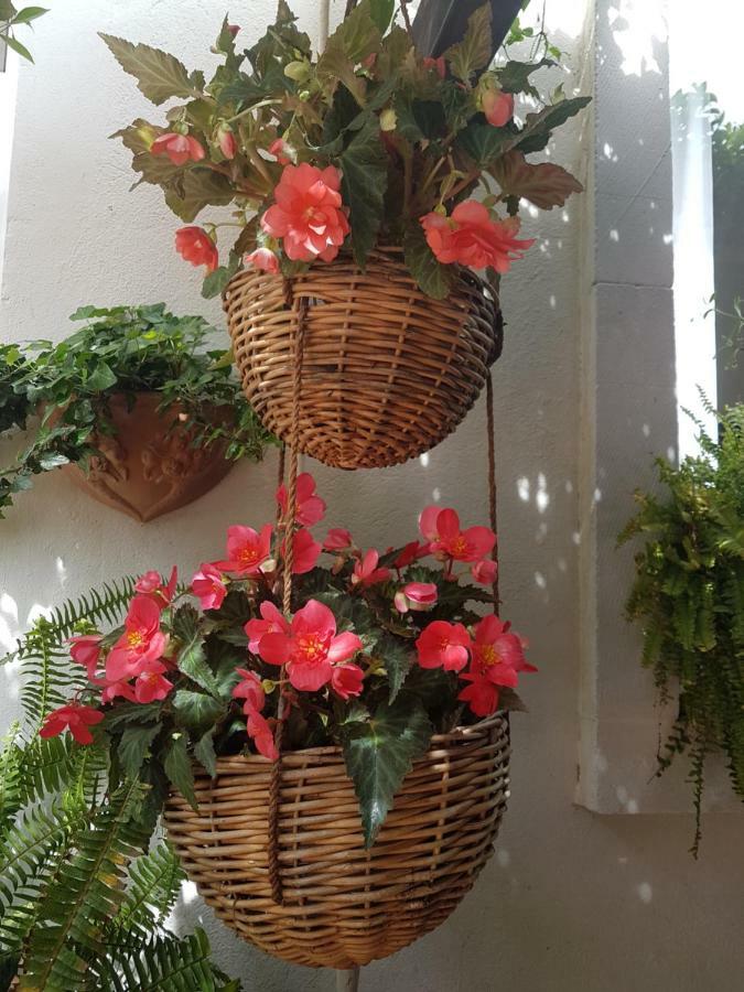 Dolianova Marco'S House 빌라 외부 사진