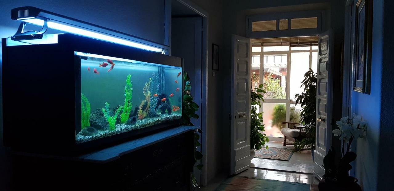 Dolianova Marco'S House 빌라 외부 사진
