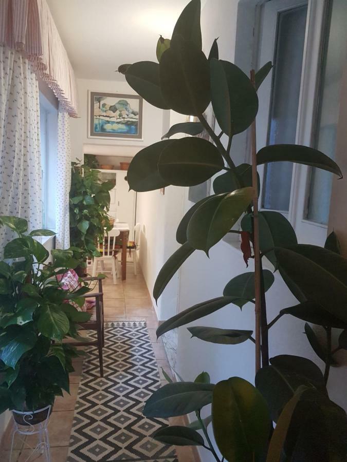 Dolianova Marco'S House 빌라 외부 사진